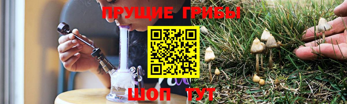 Псилоцибиновые грибы Magic Shrooms  Вход с VPN  где купить наркоту  Псилоцибиновые грибы Psilocybe  Шахты 