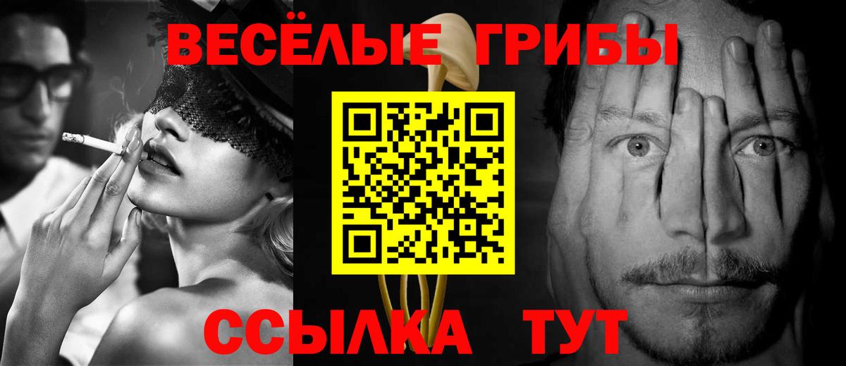 Псилоцибиновые грибы Psilocybe Шахты